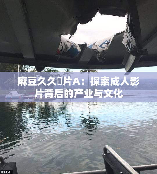 麻豆久久婬片A：探索成人影片背后的产业与文化