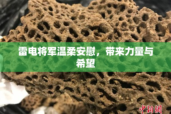 雷电将军温柔安慰，带来力量与希望