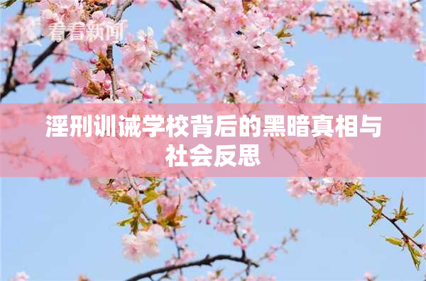 淫刑训诫学校背后的黑暗真相与社会反思