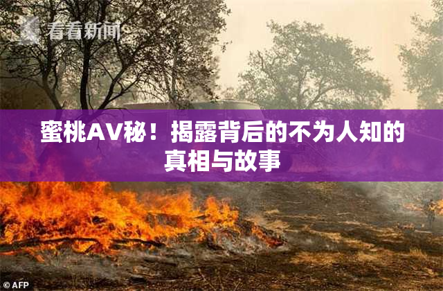 蜜桃AV秘！揭露背后的不为人知的真相与故事