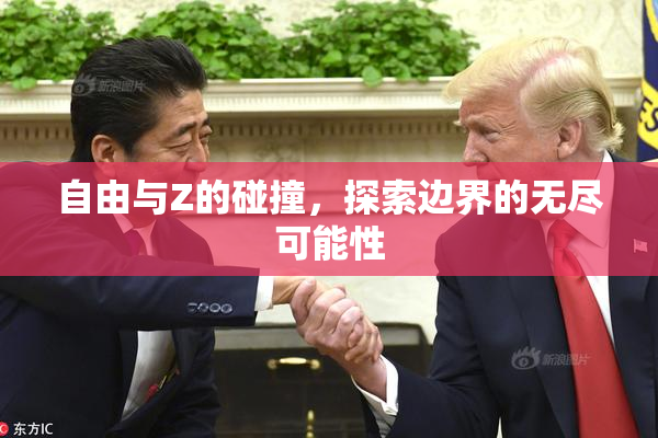 自由与Z的碰撞，探索边界的无尽可能性
