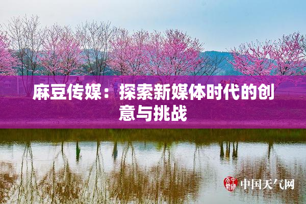 麻豆传媒：探索新媒体时代的创意与挑战