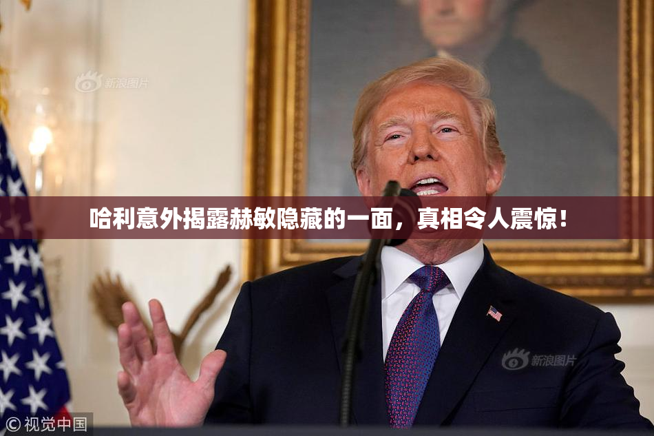 哈利意外揭露赫敏隐藏的一面，真相令人震惊！