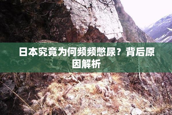 日本究竟为何频频憋尿？背后原因解析