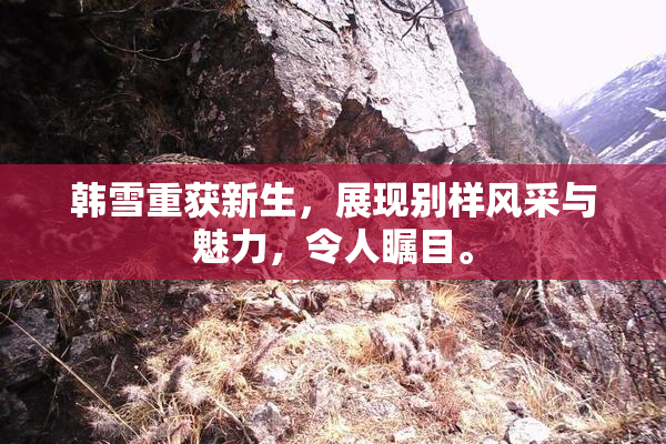 韩雪重获新生，展现别样风采与魅力，令人瞩目。