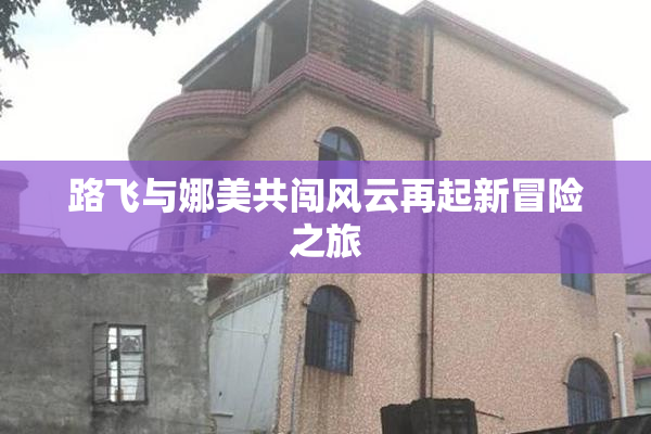 路飞与娜美共闯风云再起新冒险之旅