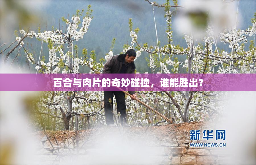 百合与肉片的奇妙碰撞，谁能胜出？
