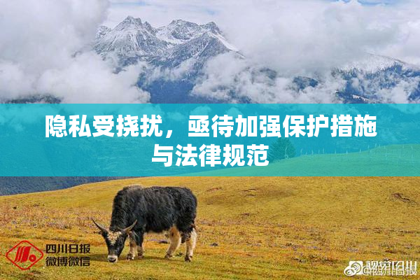 隐私受挠扰，亟待加强保护措施与法律规范