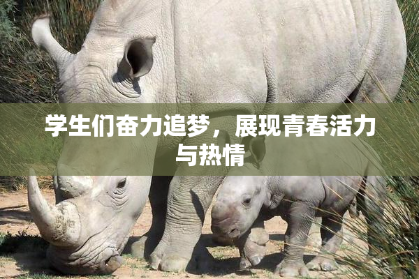 学生们奋力追梦，展现青春活力与热情