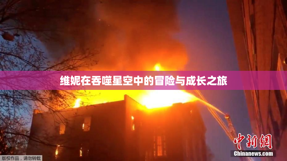 维妮在吞噬星空中的冒险与成长之旅