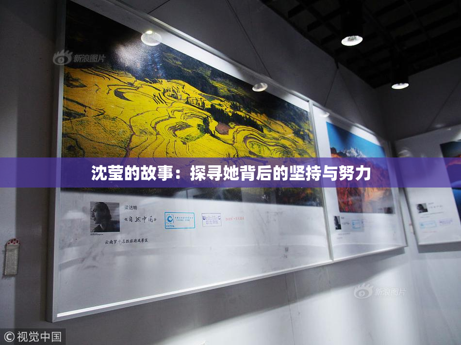 沈莹的故事：探寻她背后的坚持与努力