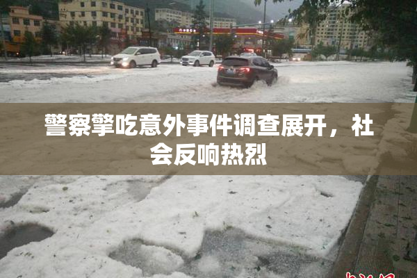 警察擎吃意外事件调查展开，社会反响热烈