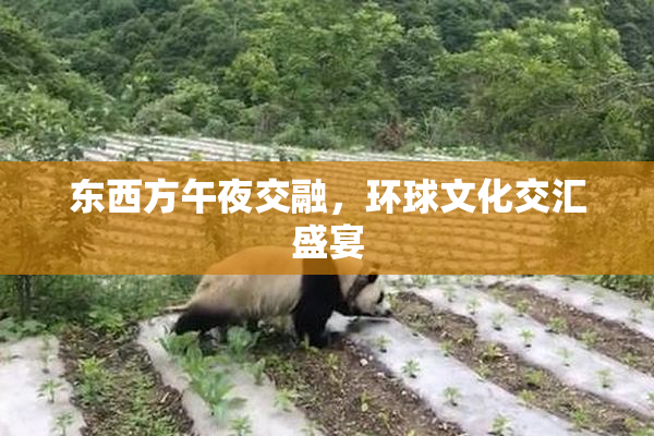 东西方午夜交融，环球文化交汇盛宴