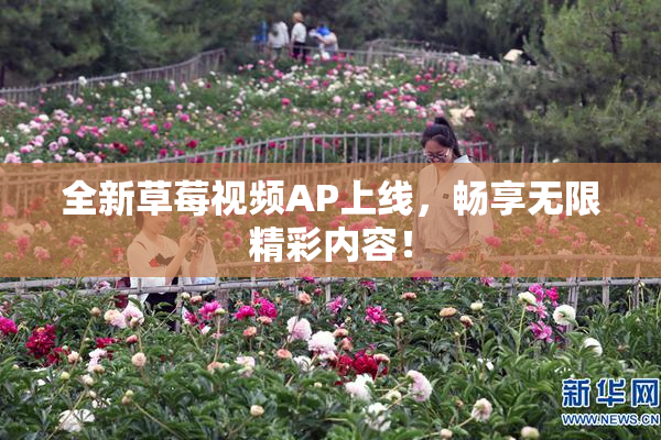 全新草莓视频AP上线，畅享无限精彩内容！