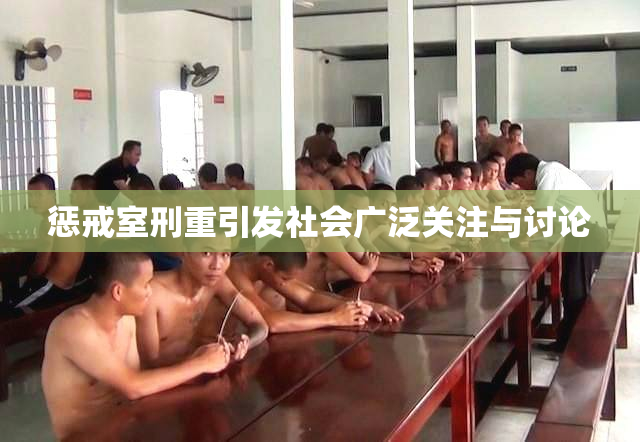 惩戒室刑重引发社会广泛关注与讨论