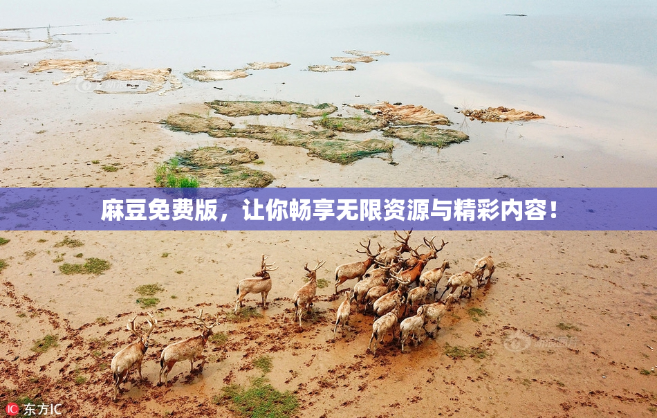 麻豆免费版，让你畅享无限资源与精彩内容！