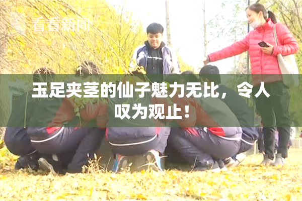 玉足夹茎的仙子魅力无比，令人叹为观止！
