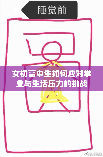 女初高中生如何应对学业与生活压力的挑战