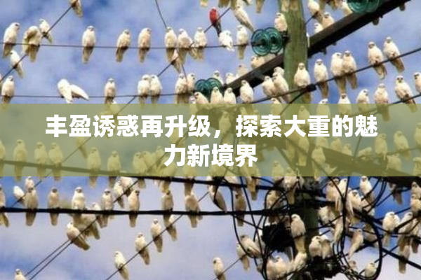 丰盈诱惑再升级，探索大重的魅力新境界