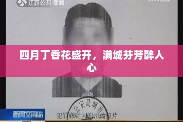 四月丁香花盛开，满城芬芳醉人心