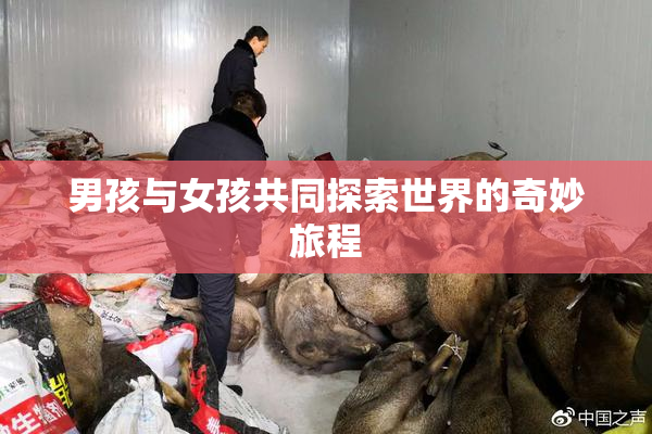 男孩与女孩共同探索世界的奇妙旅程