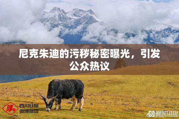 尼克朱迪的污秽秘密曝光，引发公众热议