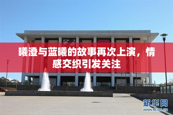 曦澄与蓝曦的故事再次上演，情感交织引发关注