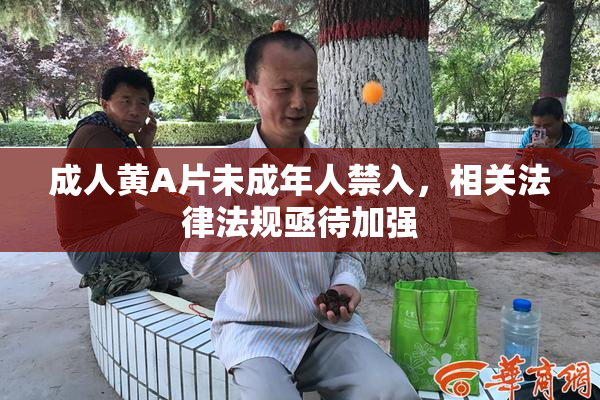 成人黄A片未成年人禁入，相关法律法规亟待加强
