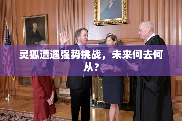 灵狐遭遇强势挑战，未来何去何从？