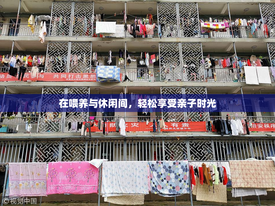 在喂养与休闲间，轻松享受亲子时光