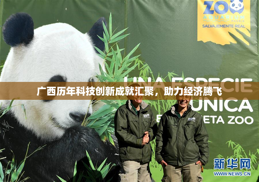 广西历年科技创新成就汇聚，助力经济腾飞