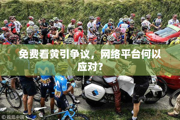 免费看黄引争议，网络平台何以应对？