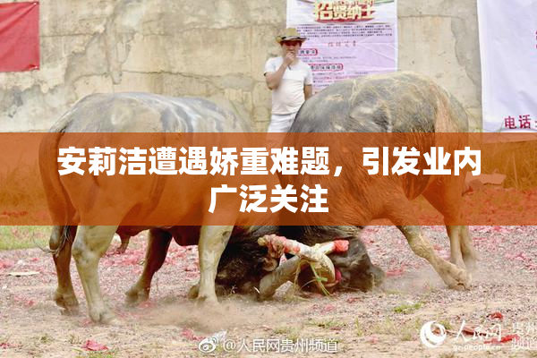 安莉洁遭遇娇重难题，引发业内广泛关注