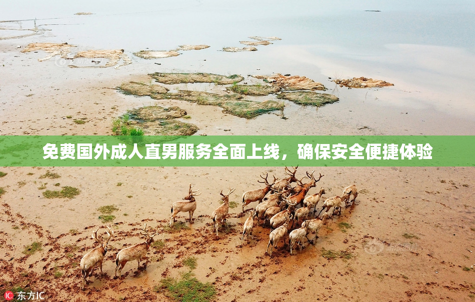 免费国外成人直男服务全面上线，确保安全便捷体验