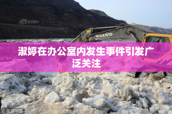 淑婷在办公室内发生事件引发广泛关注