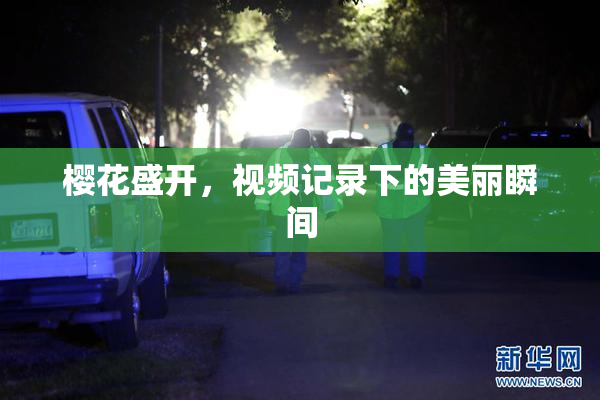 樱花盛开，视频记录下的美丽瞬间