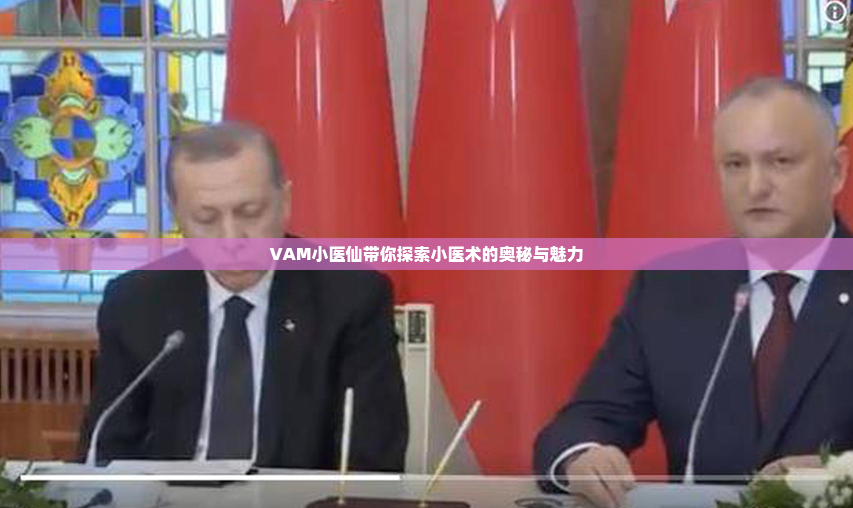 VAM小医仙带你探索小医术的奥秘与魅力