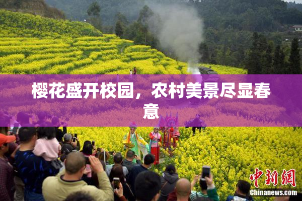 樱花盛开校园，农村美景尽显春意