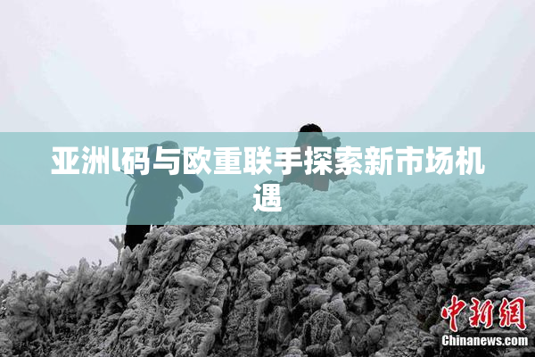 亚洲l码与欧重联手探索新市场机遇