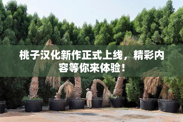 桃子汉化新作正式上线，精彩内容等你来体验！