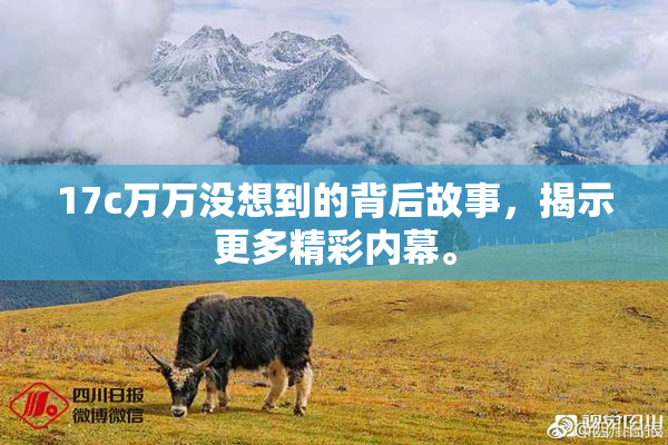 17c万万没想到的背后故事，揭示更多精彩内幕。