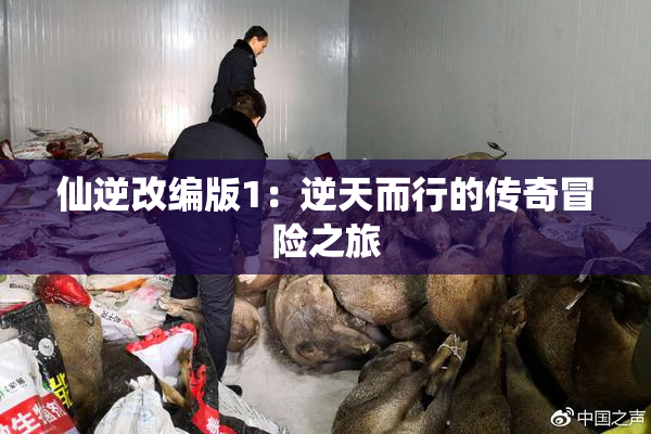 仙逆改编版1：逆天而行的传奇冒险之旅