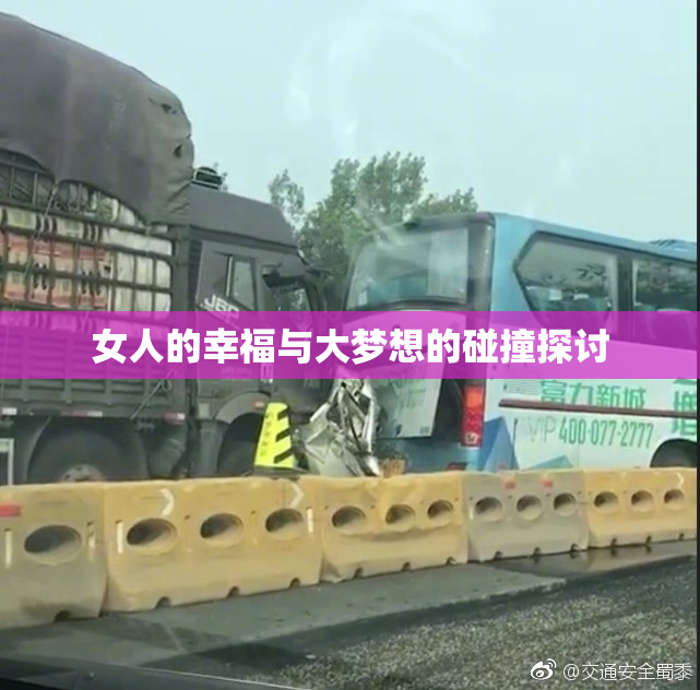 女人的幸福与大梦想的碰撞探讨