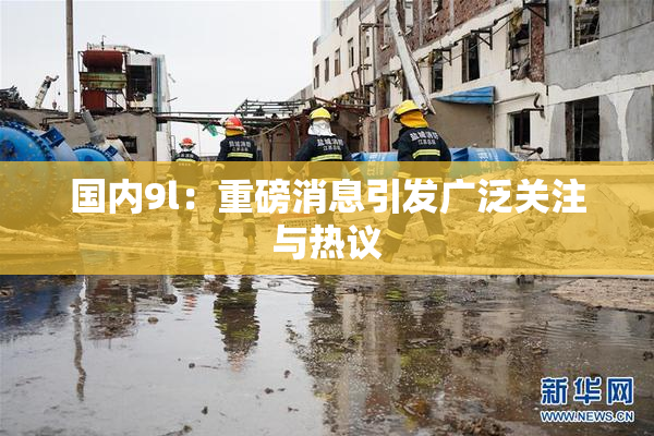 国内9l：重磅消息引发广泛关注与热议