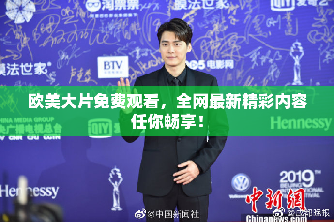 欧美大片免费观看，全网最新精彩内容任你畅享！