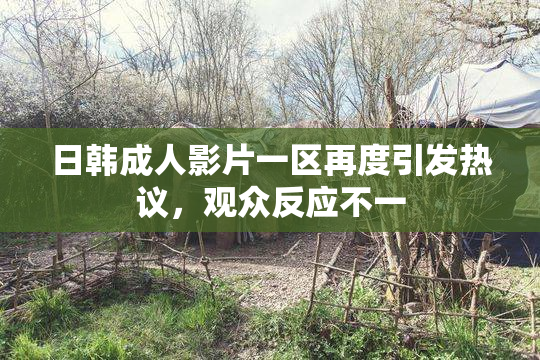 日韩成人影片一区再度引发热议，观众反应不一