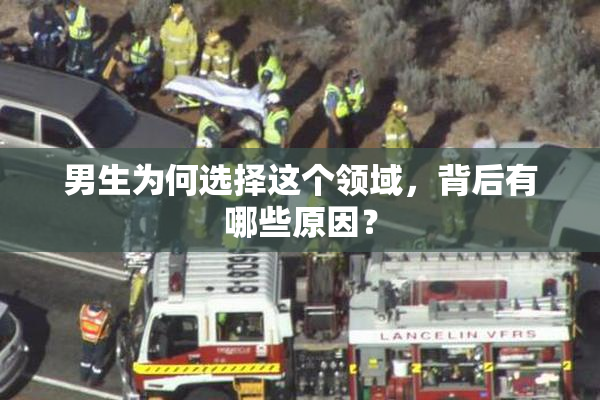 男生为何选择这个领域，背后有哪些原因？