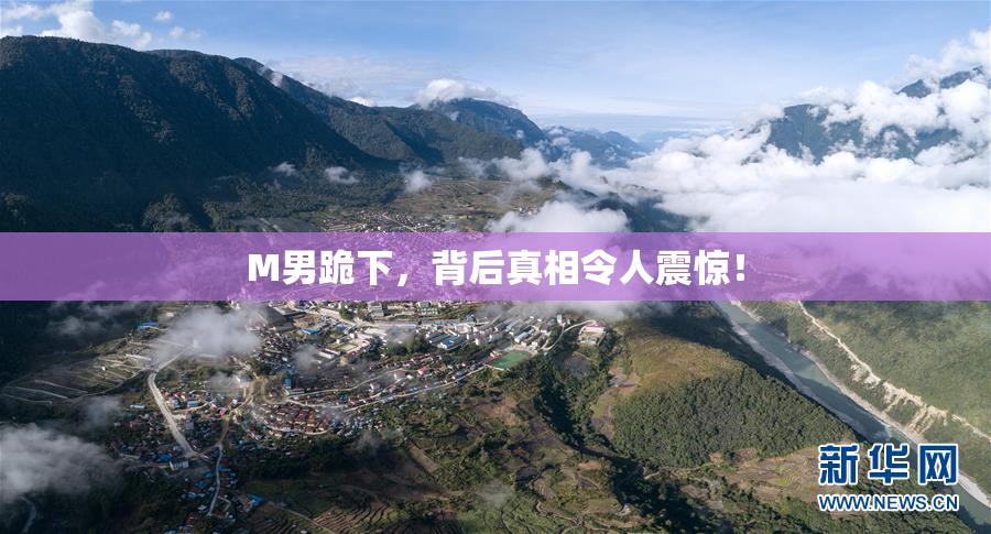 M男跪下，背后真相令人震惊！