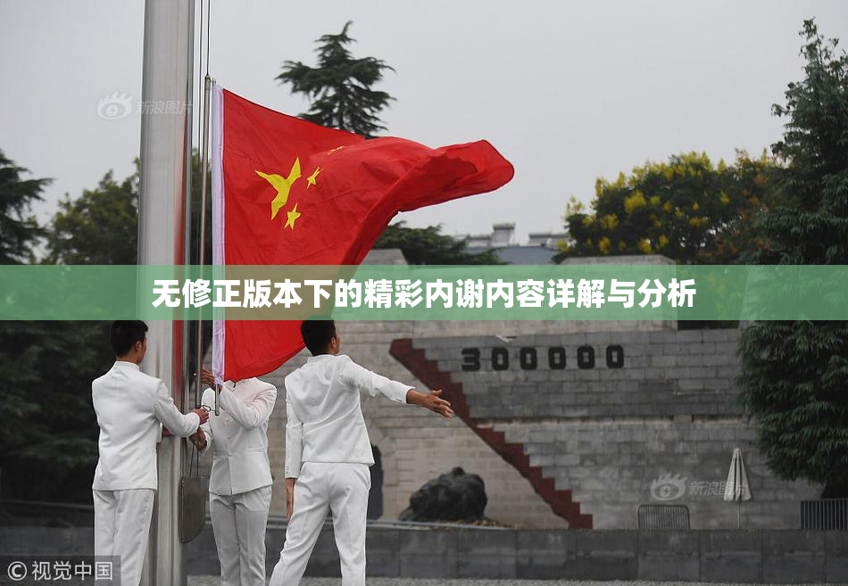 无修正版本下的精彩内谢内容详解与分析