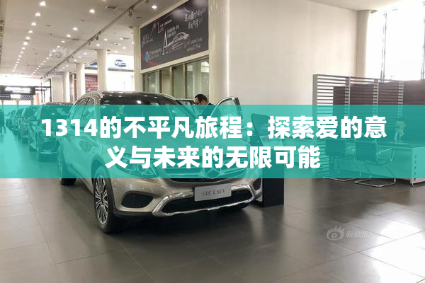 1314的不平凡旅程：探索爱的意义与未来的无限可能